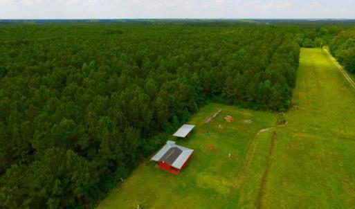 Photo of SOLD!  45 acre Hunting and Timber Land for Sale in Pamlico County NC!