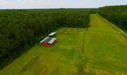Photo of SOLD!  45 acre Hunting and Timber Land for Sale in Pamlico County NC!
