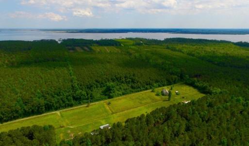 Photo of SOLD!  45 acre Hunting and Timber Land for Sale in Pamlico County NC!