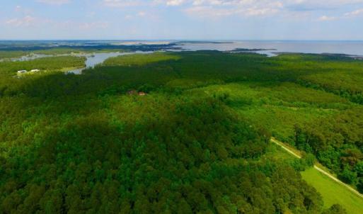 Photo of SOLD!  45 acre Hunting and Timber Land for Sale in Pamlico County NC!