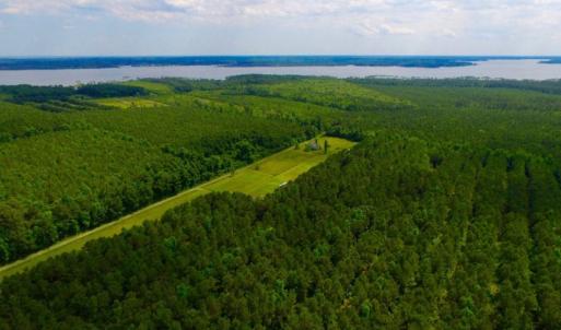 Photo of SOLD!  45 acre Hunting and Timber Land for Sale in Pamlico County NC!