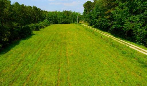 Photo of SOLD!  45 acre Hunting and Timber Land for Sale in Pamlico County NC!