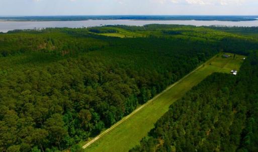 Photo of SOLD!  45 acre Hunting and Timber Land for Sale in Pamlico County NC!