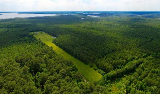 Photo of SOLD!  45 acre Hunting and Timber Land for Sale in Pamlico County NC!