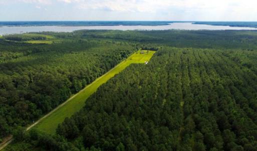 Photo of SOLD!  45 acre Hunting and Timber Land for Sale in Pamlico County NC!