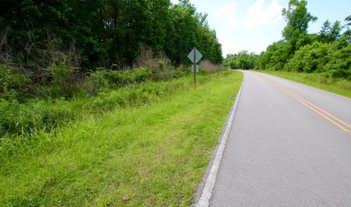 Photo of SOLD!  45 acre Hunting and Timber Land for Sale in Pamlico County NC!
