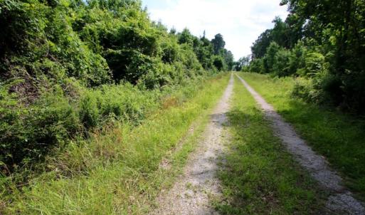 Photo of SOLD!  45 acre Hunting and Timber Land for Sale in Pamlico County NC!