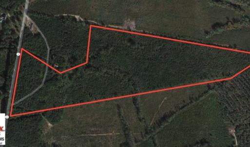 Photo of SOLD!  48.2 Acres of Timber Land For Sale in Halifax County NC!