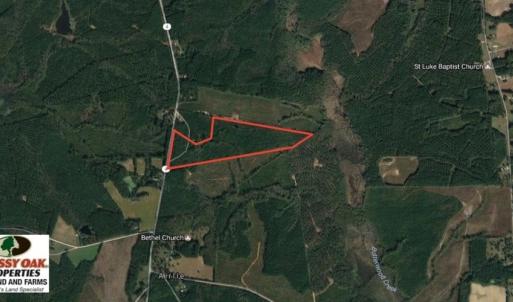 Photo of SOLD!  48.2 Acres of Timber Land For Sale in Halifax County NC!