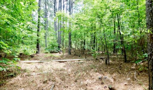 Photo of SOLD!  48.2 Acres of Timber Land For Sale in Halifax County NC!