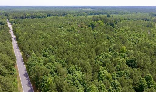 Photo of SOLD!  48.2 Acres of Timber Land For Sale in Halifax County NC!