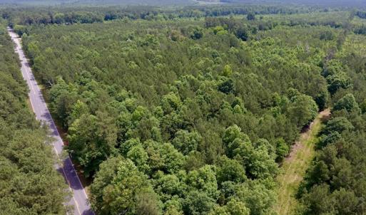 Photo of SOLD!  48.2 Acres of Timber Land For Sale in Halifax County NC!
