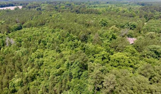 Photo of SOLD!  48.2 Acres of Timber Land For Sale in Halifax County NC!