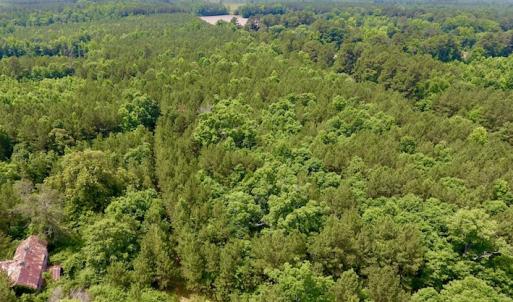Photo of SOLD!  48.2 Acres of Timber Land For Sale in Halifax County NC!