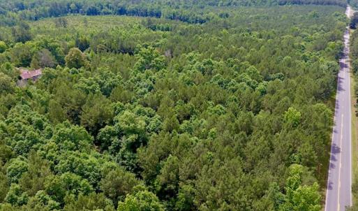 Photo of SOLD!  48.2 Acres of Timber Land For Sale in Halifax County NC!