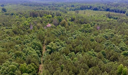 Photo of SOLD!  48.2 Acres of Timber Land For Sale in Halifax County NC!