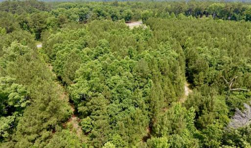 Photo of SOLD!  48.2 Acres of Timber Land For Sale in Halifax County NC!