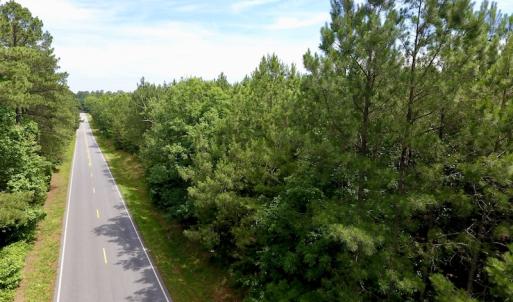 Photo of SOLD!  48.2 Acres of Timber Land For Sale in Halifax County NC!