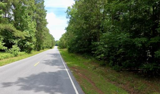 Photo of SOLD!  48.2 Acres of Timber Land For Sale in Halifax County NC!