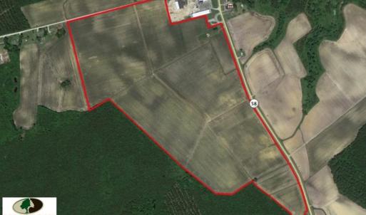 Photo of SOLD!  144 Acres of  Prime Farm and Cropland For Sale in Jones County NC!