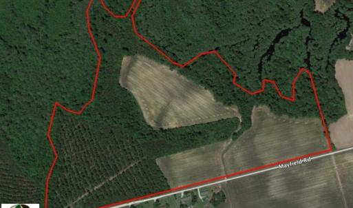 Photo of UNDER CONTRACT!  78.5 Acres of Farm and Timber Land for Sale in Jones County NC!