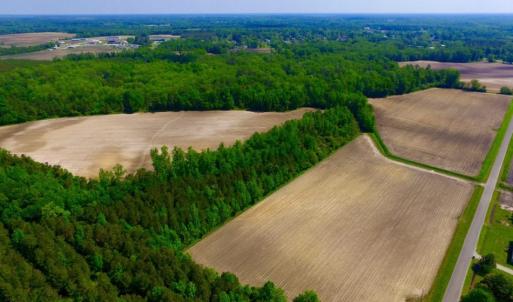 Photo of UNDER CONTRACT!  78.5 Acres of Farm and Timber Land for Sale in Jones County NC!