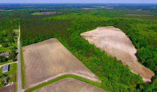 Photo of UNDER CONTRACT!  78.5 Acres of Farm and Timber Land for Sale in Jones County NC!