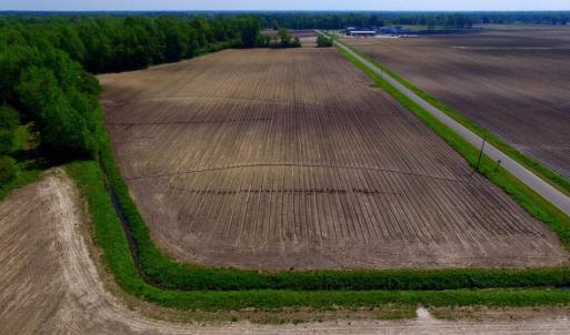 Photo of UNDER CONTRACT!  78.5 Acres of Farm and Timber Land for Sale in Jones County NC!