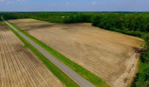 Photo of UNDER CONTRACT!  78.5 Acres of Farm and Timber Land for Sale in Jones County NC!