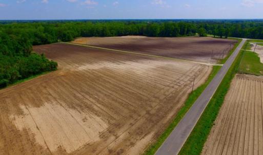 Photo of UNDER CONTRACT!  78.5 Acres of Farm and Timber Land for Sale in Jones County NC!