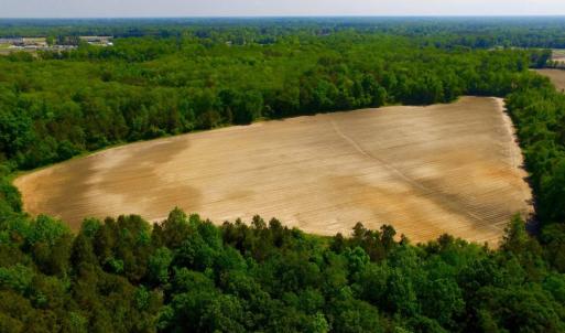 Photo of UNDER CONTRACT!  78.5 Acres of Farm and Timber Land for Sale in Jones County NC!
