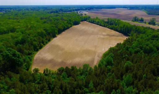 Photo of UNDER CONTRACT!  78.5 Acres of Farm and Timber Land for Sale in Jones County NC!
