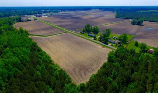 Photo of UNDER CONTRACT!  78.5 Acres of Farm and Timber Land for Sale in Jones County NC!