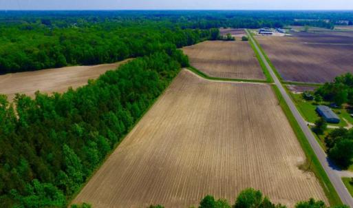 Photo of UNDER CONTRACT!  78.5 Acres of Farm and Timber Land for Sale in Jones County NC!