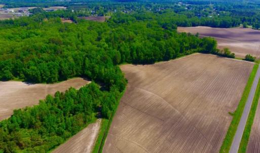 Photo of UNDER CONTRACT!  78.5 Acres of Farm and Timber Land for Sale in Jones County NC!
