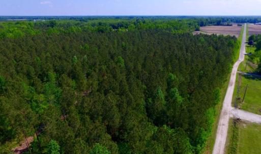 Photo of UNDER CONTRACT!  78.5 Acres of Farm and Timber Land for Sale in Jones County NC!