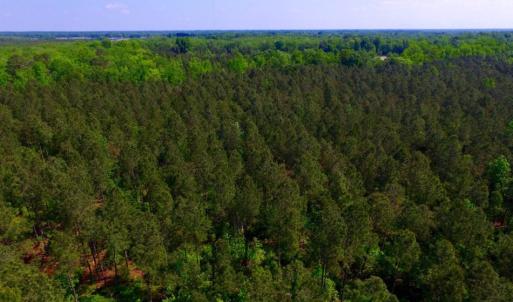 Photo of UNDER CONTRACT!  78.5 Acres of Farm and Timber Land for Sale in Jones County NC!