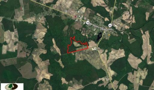 Photo of UNDER CONTRACT!  78.5 Acres of Farm and Timber Land for Sale in Jones County NC!