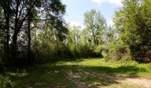 Photo of UNDER CONTRACT!  78.5 Acres of Farm and Timber Land for Sale in Jones County NC!