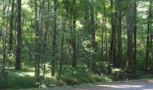 Photo of UNDER CONTRACT!  29 Acres of Residential Land For Sale in Chesapeake VA!