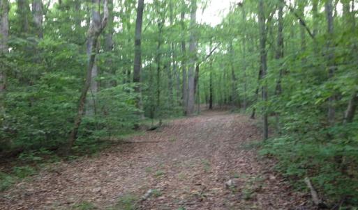 Photo of SOLD!  11 Acres of Hunting Land for Sale in Brunswick County VA!