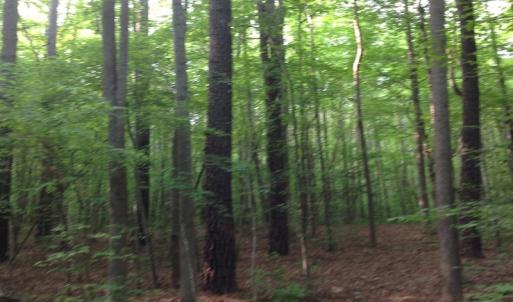 Photo of SOLD!  11 Acres of Hunting Land for Sale in Brunswick County VA!
