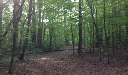 Photo of SOLD!  11 Acres of Hunting Land for Sale in Brunswick County VA!