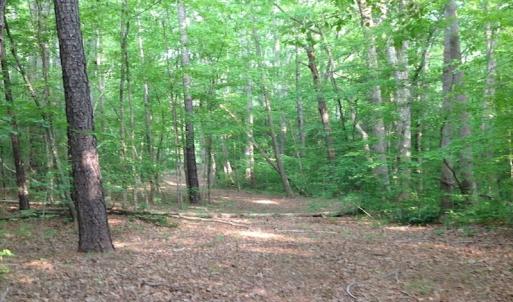 Photo of SOLD!  11 Acres of Hunting Land for Sale in Brunswick County VA!