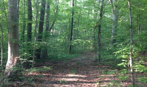 Photo of SOLD!  11 Acres of Hunting Land for Sale in Brunswick County VA!