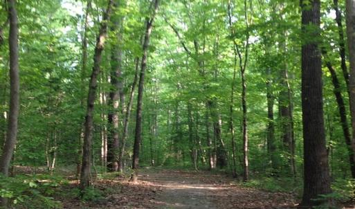 Photo of SOLD!  11 Acres of Hunting Land for Sale in Brunswick County VA!
