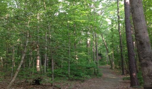 Photo of SOLD!  11 Acres of Hunting Land for Sale in Brunswick County VA!
