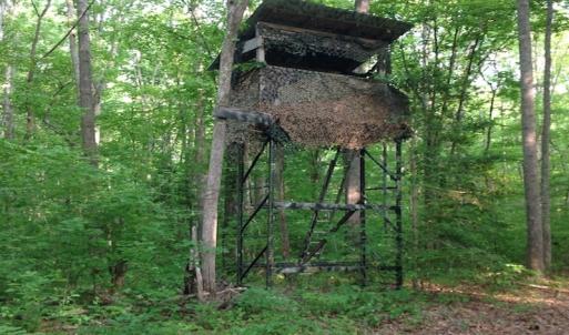 Photo of SOLD!  11 Acres of Hunting Land for Sale in Brunswick County VA!