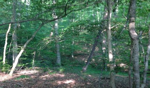 Photo of SOLD!  11 Acres of Hunting Land for Sale in Brunswick County VA!