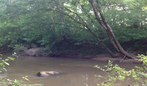 Photo of SOLD!  11 Acres of Hunting Land for Sale in Brunswick County VA!